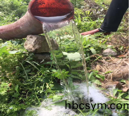 3308白綠(lv)吸(xi)汚淨(jing)化車藍(lan)牌