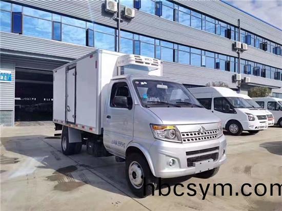 國六長(zhang)安(an)神(shen)騏T20冷藏(cang)車
