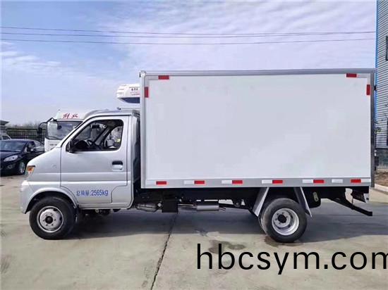 國六長(zhang)安神騏T20冷(leng)藏(cang)車(che)