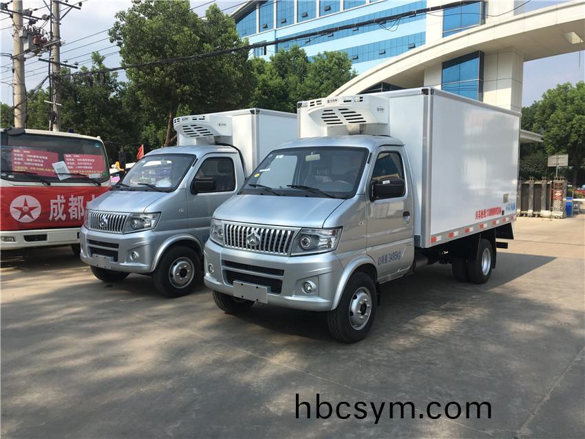 國(guo)六(liu)長安(an)神(shen)騏T20后雙(shuang)胎冷藏(cang)車