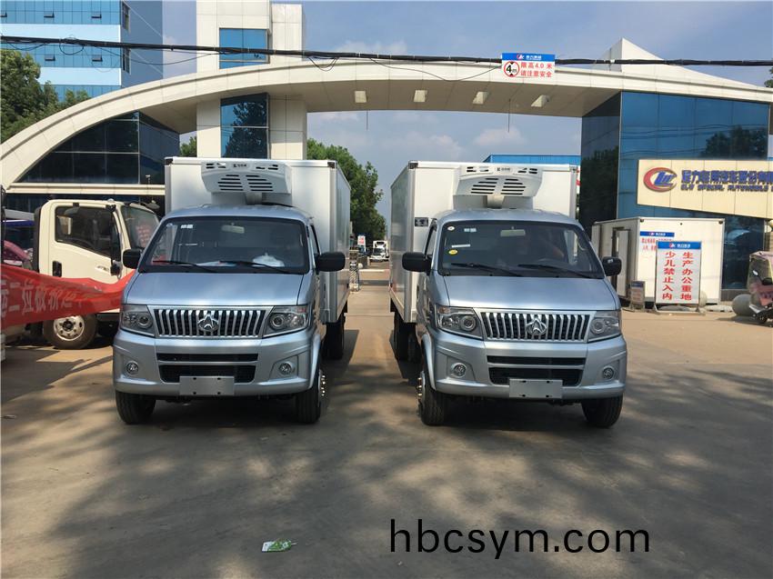 國六(liu)長(zhang)安(an)神(shen)騏(qi)T20后(hou)雙胎(tai)冷(leng)藏(cang)車(che)