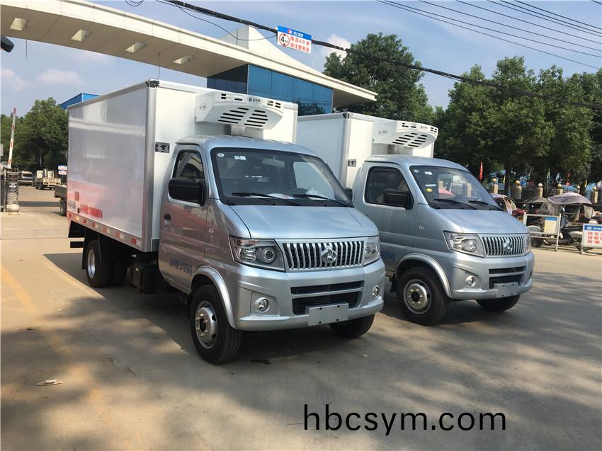 國(guo)六(liu)長安神(shen)騏(qi)T20后(hou)雙(shuang)胎(tai)冷(leng)藏(cang)車