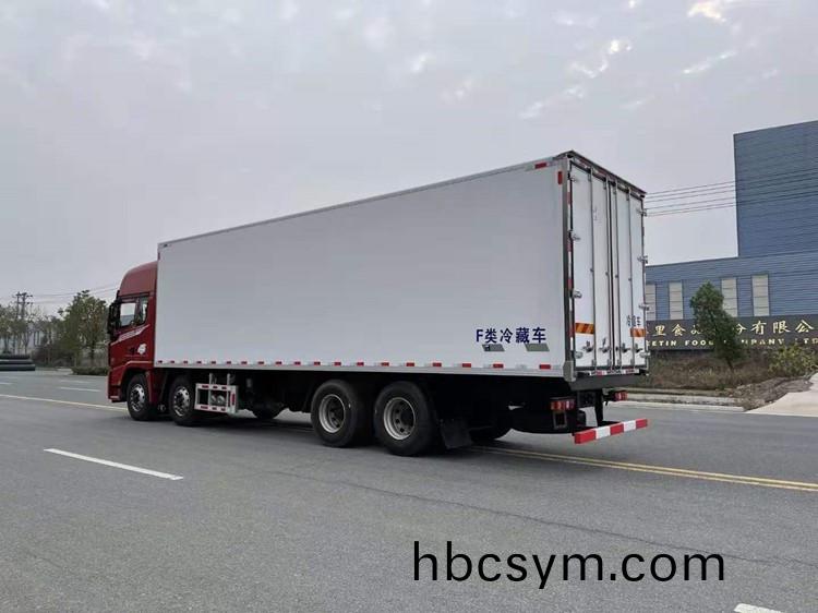 陝(shan)汽悳龍(long)9.6米前(qian)四(si)后(hou)八冷(leng)藏車