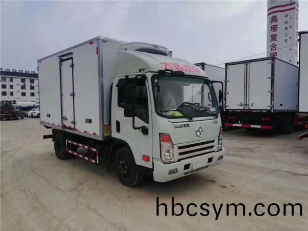 國六(liu)4.2米大(da)運藍(lan)牌(pai)冷藏車