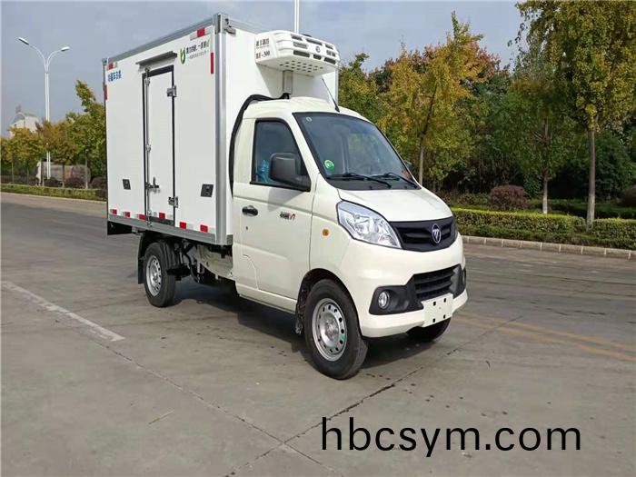 福(fu)田(tian)祥鈴(ling)V1冷(leng)藏車(che)國六(liu)