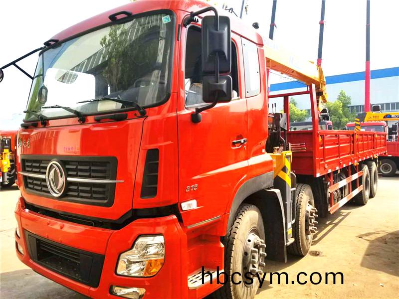 天(tian)龍(long)前四后八(ba)12噸弔機