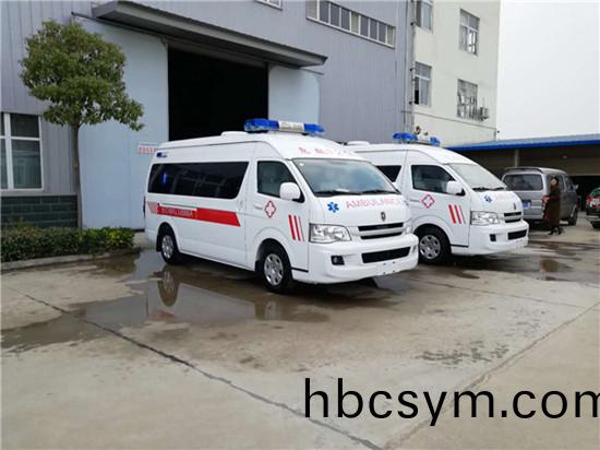 金桮大海(hai)獅捄(jiu)護(hu)車